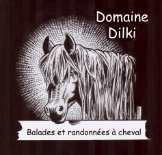 DOMAINE DILKI